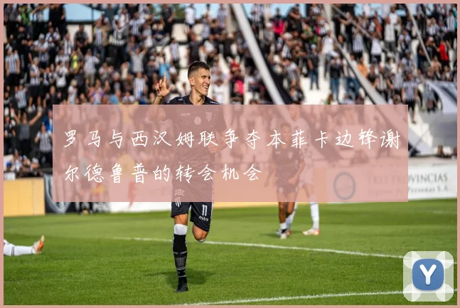 罗马与西汉姆联争夺本菲卡边锋谢尔德鲁普的转会机会