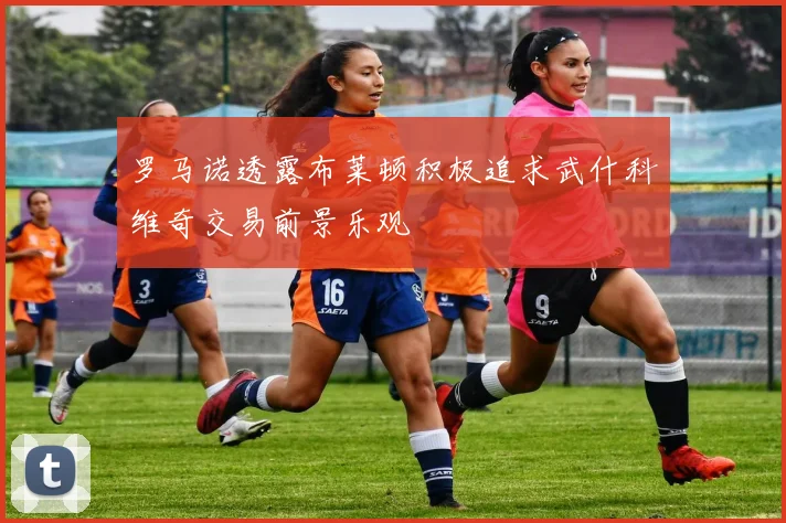 罗马诺透露布莱顿积极追求武什科维奇交易前景乐观