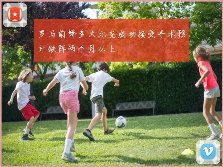 罗马前锋多夫比克成功接受手术预计缺阵两个月以上